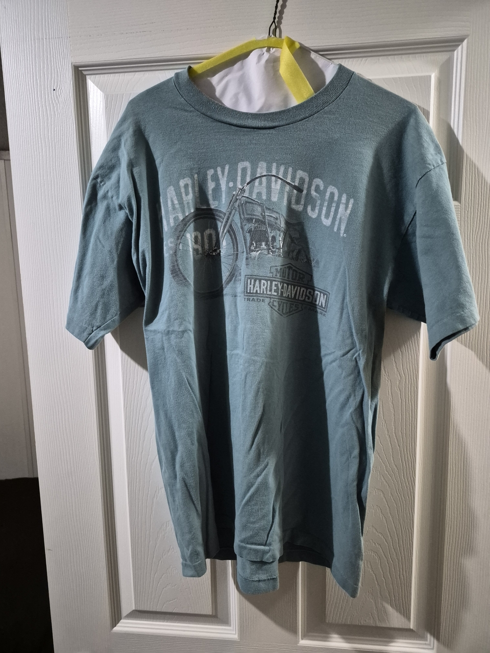 Harley-Davidson Adult Teal Short-Sleeve Graphic Tee